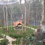 Melaka Bird Park - view